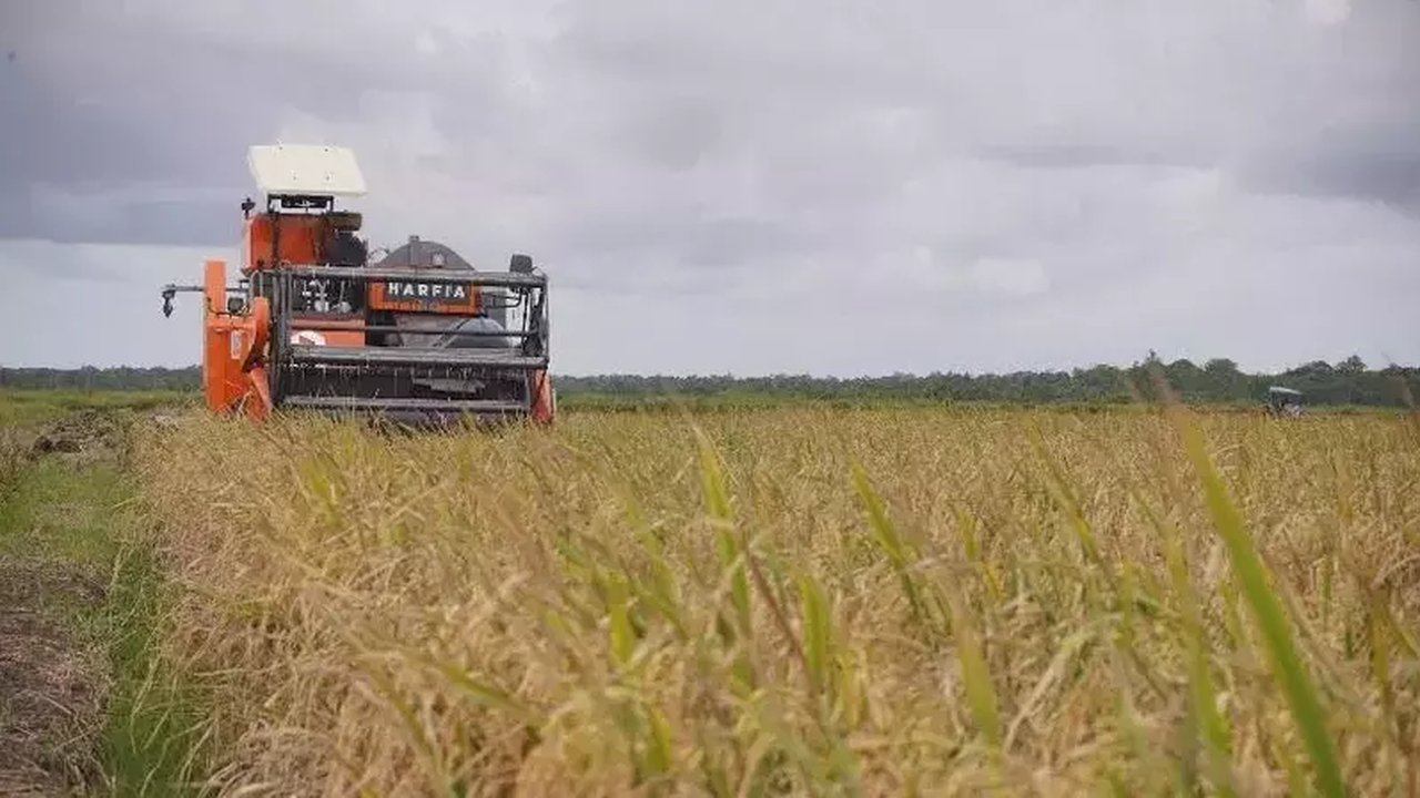 BMKG Ingatkan Puncak Kemarau Agustus-September, Empat Langkah Amankan Produksi Pangan